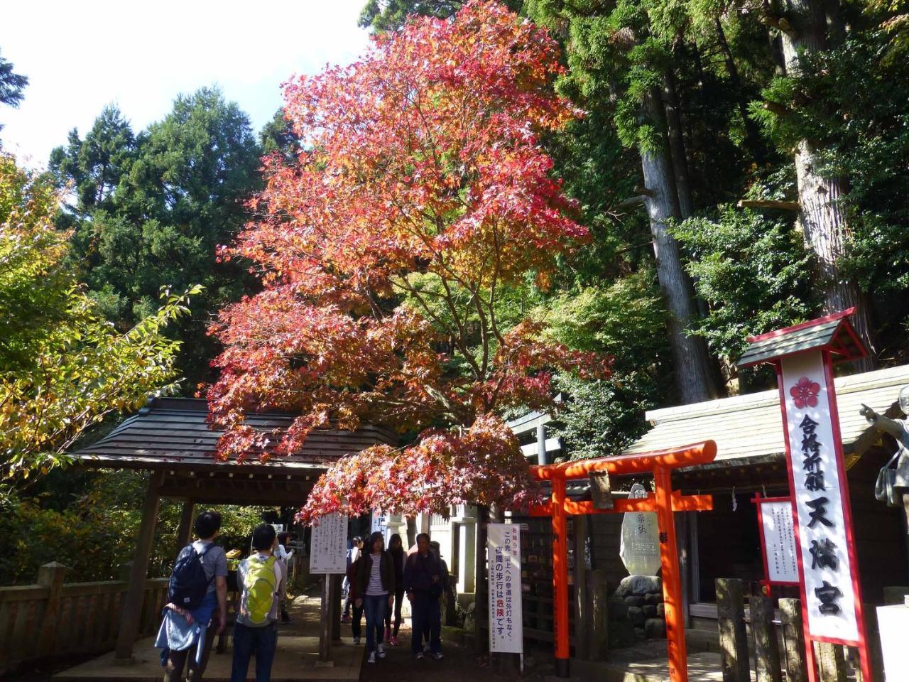 Hotel Togakubo Isehara Exterior foto